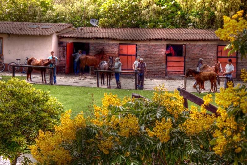 La Isabela Estancia Ecuestre Tabio Exterior foto
