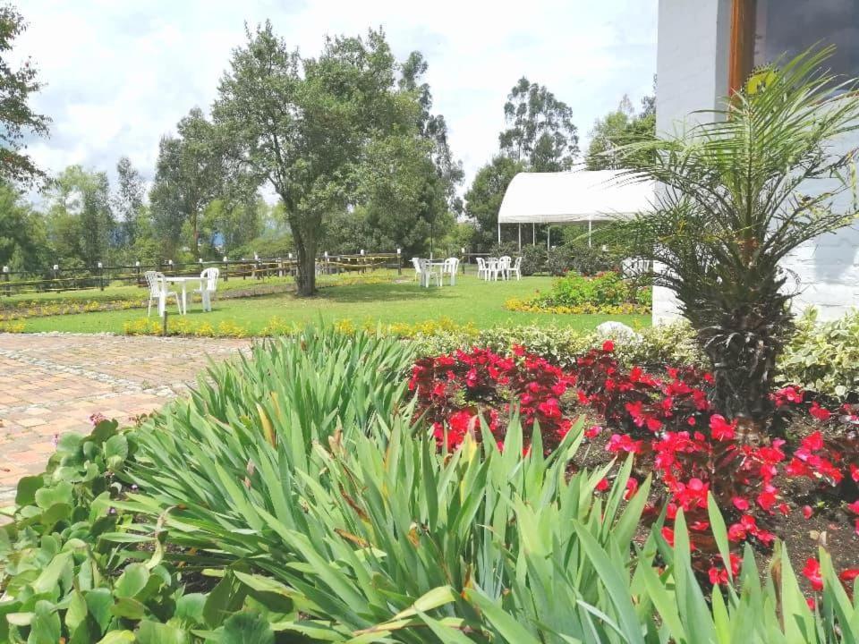La Isabela Estancia Ecuestre Tabio Exterior foto